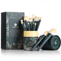 EIGSHOW Makeup Brushes