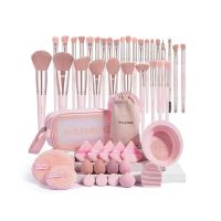 49 Pcs Makeup Tool Set with Makeup Brush