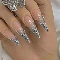 Nails Sliver French