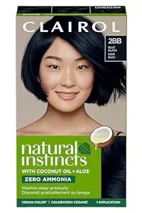 Hair Dye-2BB Blue Black